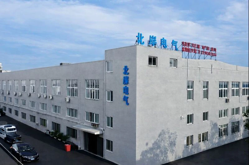 Home 26 Beianelec Team